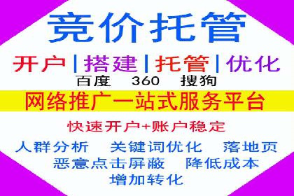 某品牌SEM广告投放效果全解析